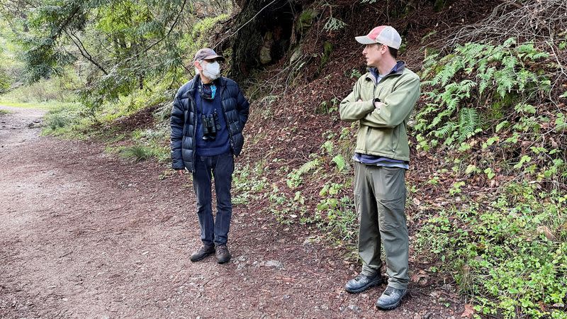 After rain burst, California salmon reclaim old spawning grounds