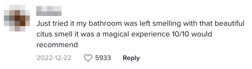 &quot;Just tried it my bathroom was left smelling with that beautiful citrus smell it was a magical experience 10/10 would recommend&quot;