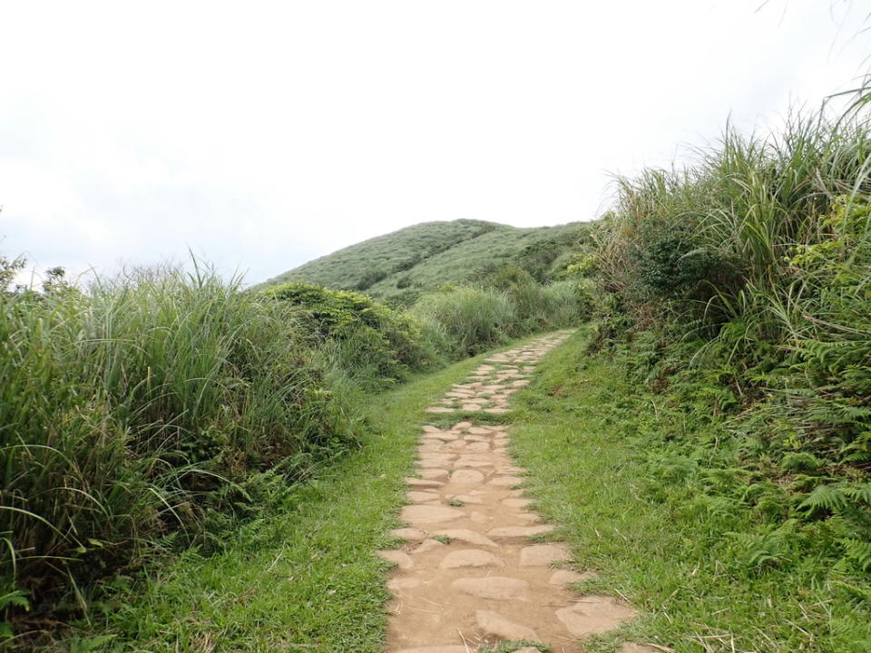 台北擎天崗環形步道＋竹篙山