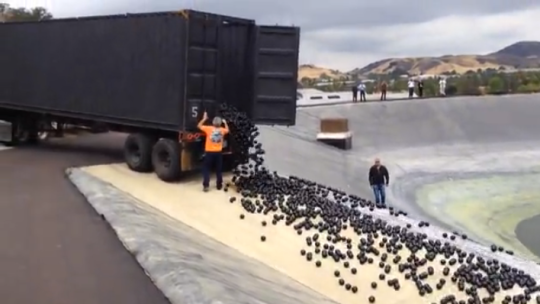 Video Showing Thousands Of ‘shade Balls Tipped Into Drought Hit Los Angeles Reservoir Goes Viral 7392