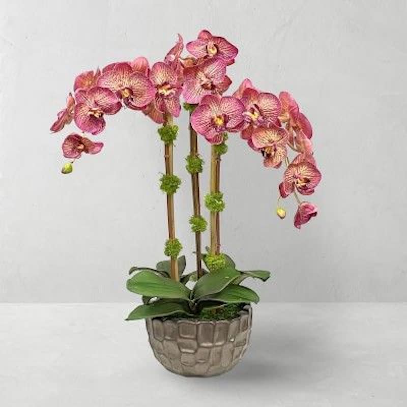 <p><a href="https://go.redirectingat.com?id=74968X1596630&url=https%3A%2F%2Fwww.williams-sonoma.com%2Fproducts%2Ffaux-orchids-in-planter&sref=https%3A%2F%2Fwww.esquire.com%2Flifestyle%2Fmoney%2Fg28799499%2Fbest-gifts-for-your-boss%2F" rel="nofollow noopener" target="_blank" data-ylk="slk:Shop Now;elm:context_link;itc:0;sec:content-canvas" class="link ">Shop Now</a></p><p>Faux Orchids in Planter</p><p>$299.95</p><p>williams-sonoma.com</p>