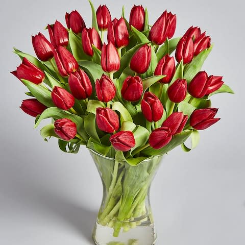 Valentine's tulips