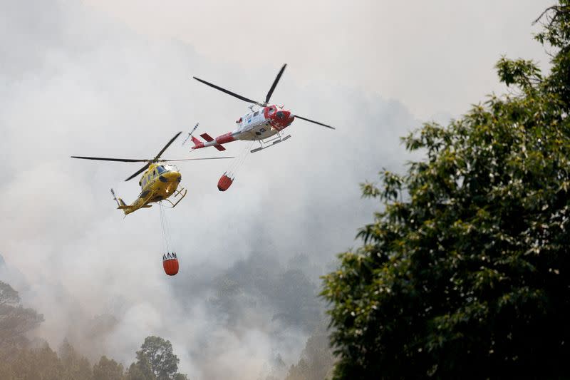 FILE PHOTO: Tenerife forest fire, Canary Islands