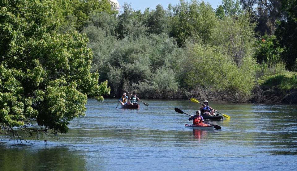 Los remeros se dirigen en kayaks y canoas al nuevo embarcadero de Neece Drive en el Parque Regional del Río Tuolumne en Modesto, California, el viernes 10 de mayo de 2024.