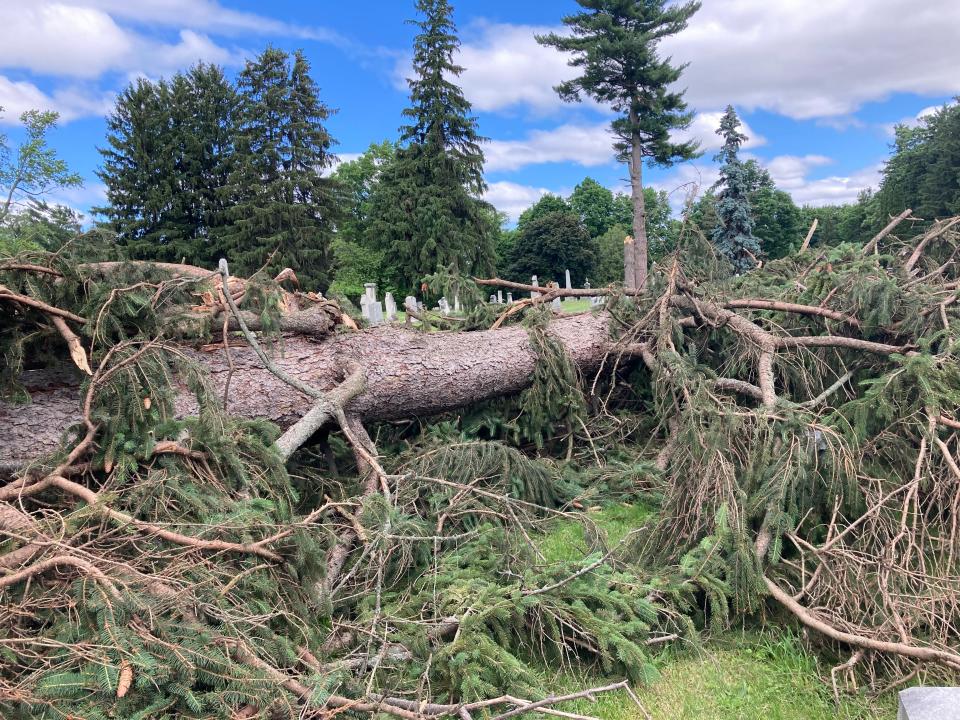 A microburst damaged a large area of Temple Hill Cemetery in Geneseo, Livingston County, on June 16, 2022.