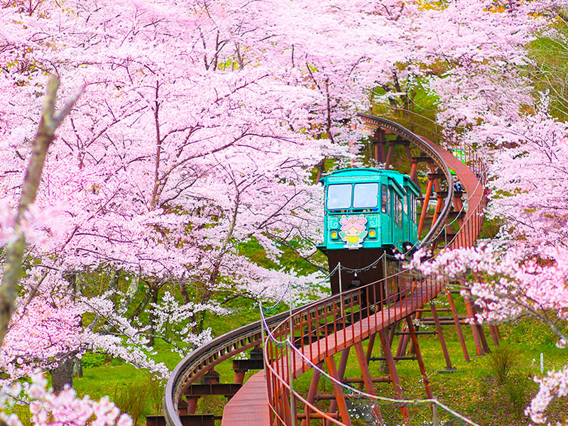 ▲船岡城址公園。（圖／易遊網提供）