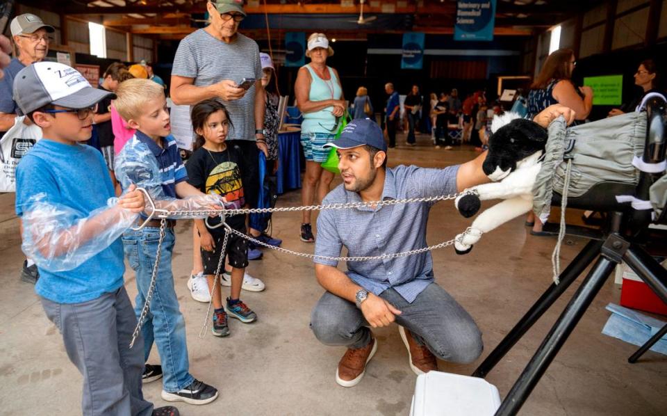Penn State masters student Pedram Zarei teaches a group of youngsters about calving assistance at the Penn State Ag Progress Days on Wednesday, Aug. 9, 2023.