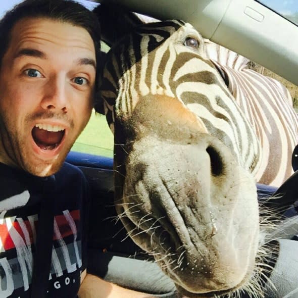 Zelfie! Tourist gets amazing selfie with zebra on safari