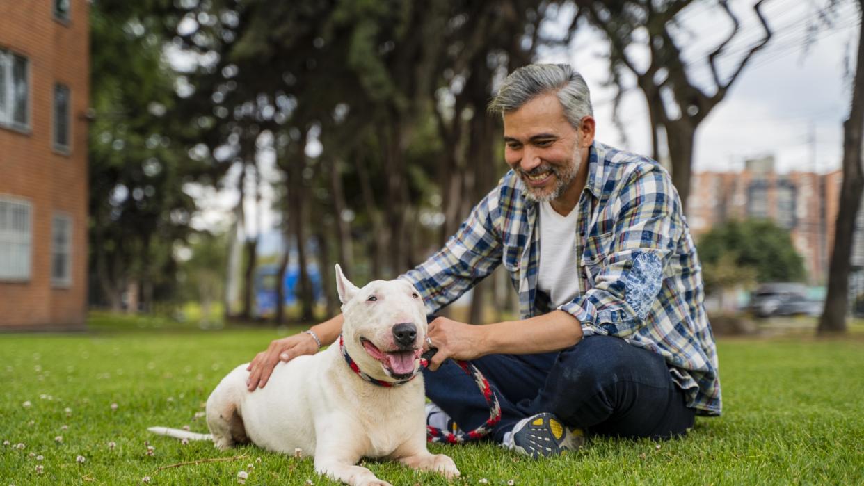 a smilling man sits on the grass next to his relaxed and happy dog