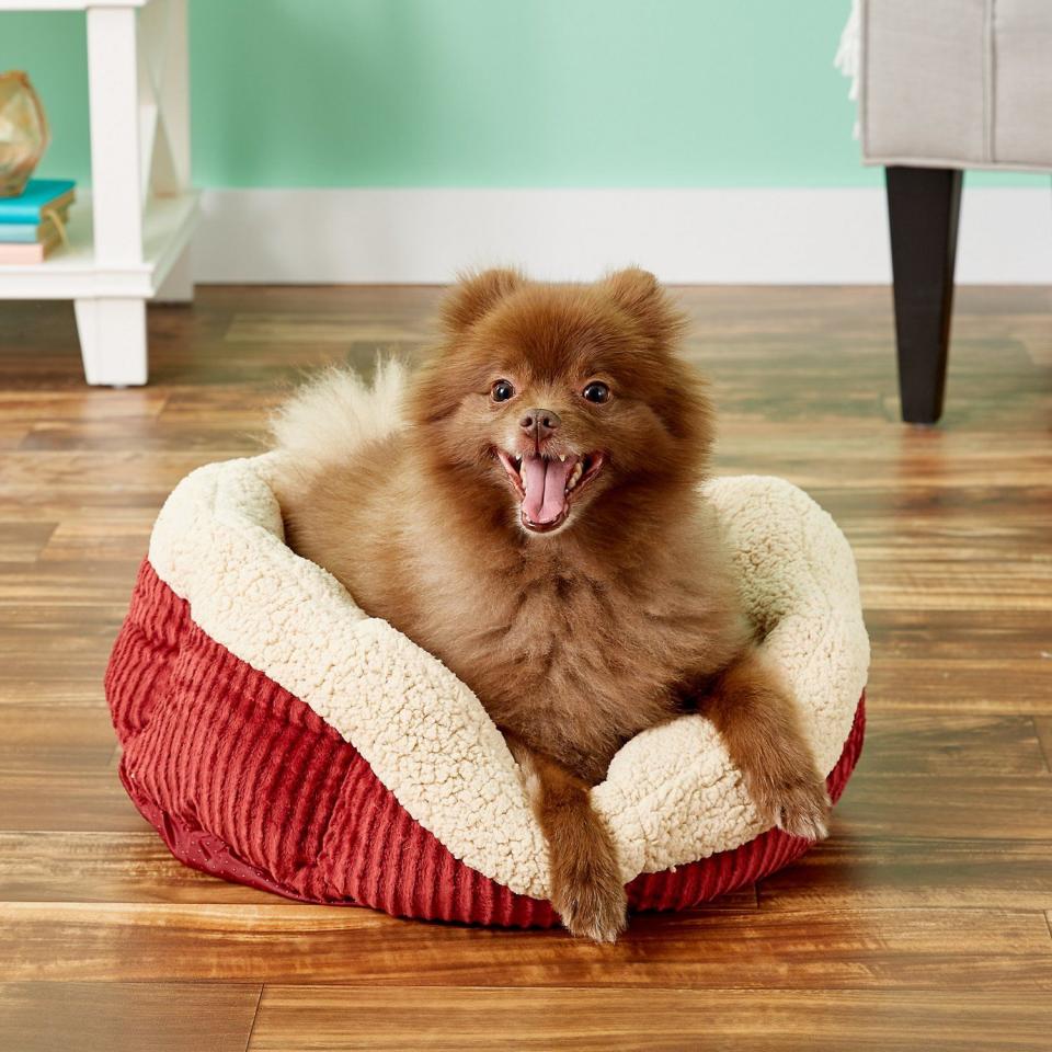 Best Self Warming Dog Bed