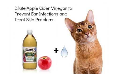 Apple Cider Vinegar For Ears and Skin