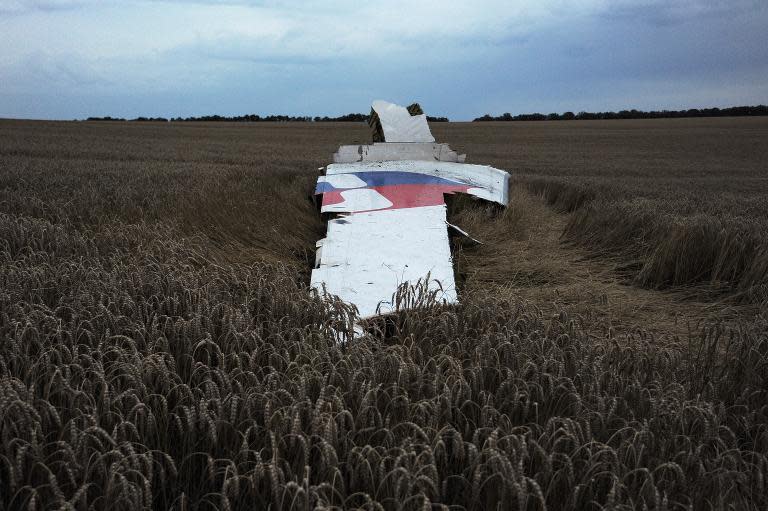 Wreckage from the crashed Malaysian airliner is shown near the town of Shaktarsk, in rebel-held east Ukraine, July 17, 2014