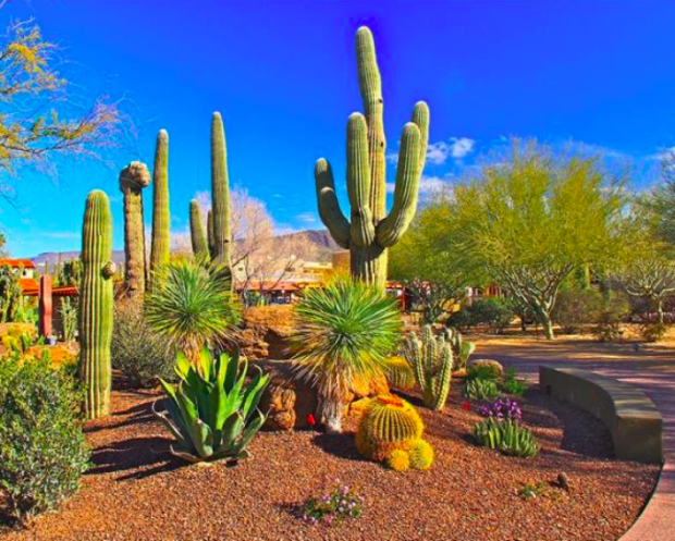 <p>Vist Carefree</p><p>Travel out to the beautiful deserts of Arizona and feel what the American Southwest has to offer for your anniversary getaway. This arid landscape has plenty of outdoor activities including rock climbing, horseback riding and several scenic golf courses, along with wellness retreats like <a href="https://go.skimresources.com?id=113896X1572730&xs=1&url=https%3A%2F%2Fwww.tripadvisor.com%2FHotel_Review-g31181-d74372-Reviews-CIVANA_Wellness_Resort_Spa-Carefree_Arizona.html&sref=https%3A%2F%2Fparade.com%2F1002608%2Fmarynliles%2Fbest-anniversary-getaways%2F" rel="noopener" target="_blank" data-ylk="slk:CIVANA;elm:context_link;itc:0;sec:content-canvas" class="link ">CIVANA</a>.</p>