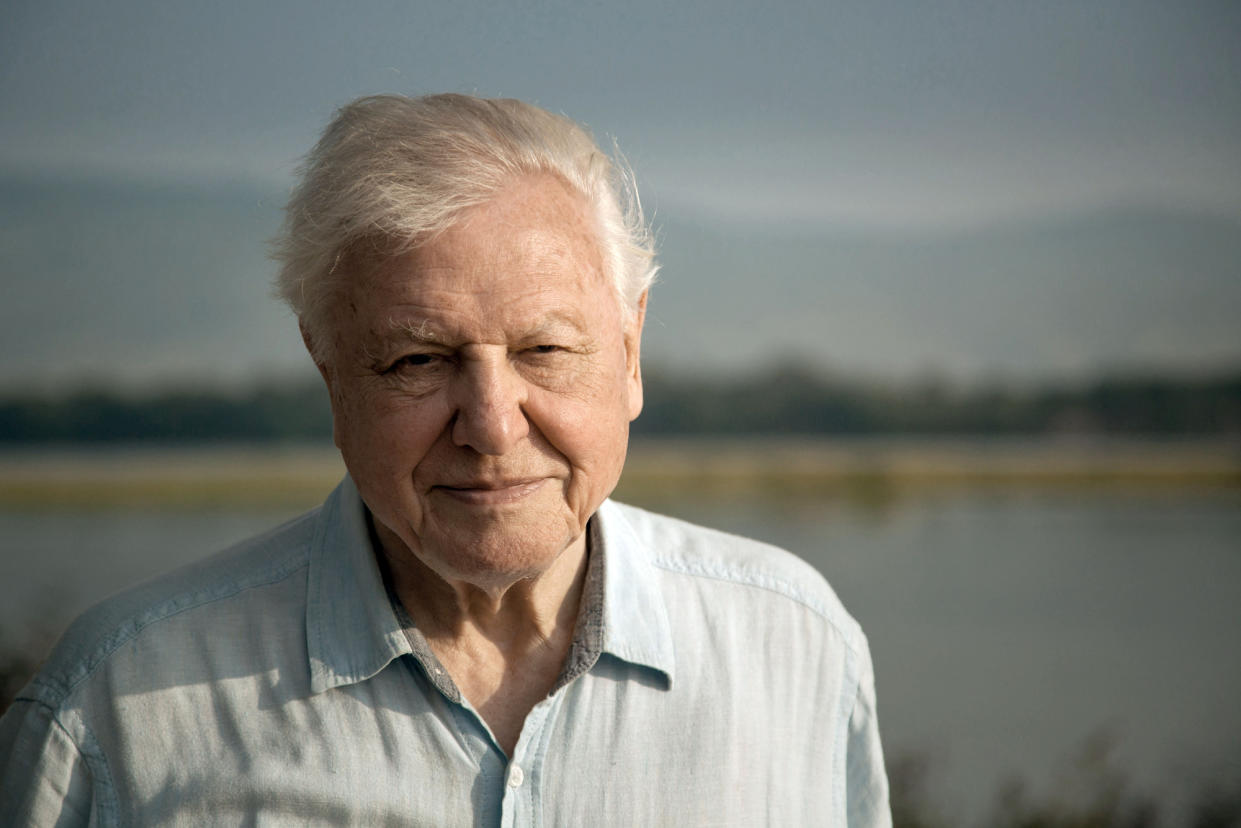 Sir David Attenborough (Credit: BBC)