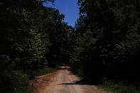 A dirt road surrounded by blue sky and trees is seen on Friday, June 24, 2022, in Moulton, Ala., and leads to a crime scene where 51-year-old David Guess, was murdered in March. Most gun violence in America is related to seemingly ordinary disputes that spin out of control and someone goes for a gun. Guess was killed by gun violence and according to the police, Guess was shot with a handgun and burned in a wooded area with tires piled on his body and set on fire. (AP Photo/Brynn Anderson)