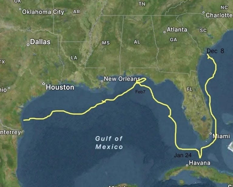 Researchers have tracked LeeBeth's movements from Hilton Head, SC to South Padre Island, TX.