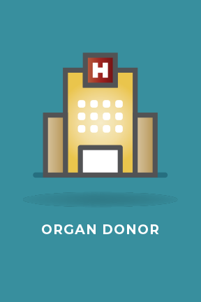 Organ donor: A person suffers a catastrophic injury — a car accident, drowning, overdose or aneurysm — and is taken to the hospital. After every attempt is made to save their life, the hospital declares the person brain dead. Not to be confused with a coma, brain death is the irreversible end of brain function. The patient becomes a candidate for organ donation at this point. (Image courtesy Tennessee Donor Services)