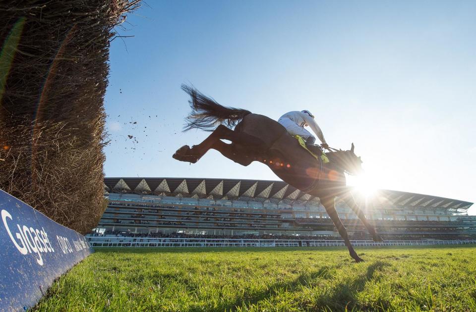 Ascot set to bring curtain down on memorable jumps season with Mothers' Day meeting