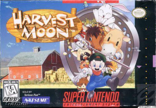 <p><a href="https://www.amazon.com/Harvest-Moon-Nintendo-Super-NES/dp/B000035Y7G/ref=sr_1_6?crid=2XCXMB81NF0Z8&keywords=Harvest+moon+snes&qid=1686082577&sprefix=harvest+moon+snes%2Caps%2C109&sr=8-6&tag=syn-yahoo-20&ascsubtag=%5Bartid%7C10063.g.44105789%5Bsrc%7Cyahoo-us" rel="nofollow noopener" target="_blank" data-ylk="slk:Shop Now;elm:context_link;itc:0;sec:content-canvas" class="link ">Shop Now</a></p><p>Harvest Moon - Super Nintendo</p><p>Amazon</p><p>$525.00</p><span class="copyright">Natsume/Appci Corporation (Amazon)</span>