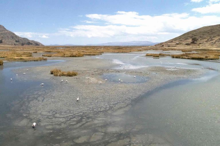 El Titicaca es el lago navegable más alto del mundo y el más grande de Sudamérica; está a más de 3800 metros de altura, tiene una superficie aproximada de 8490 km2 y una profundidad de 280 metros