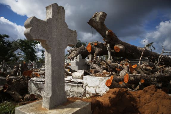 Broken tree branches pile up as workers push to clear out cemeteries in the aftermath of Hurricane Maria.