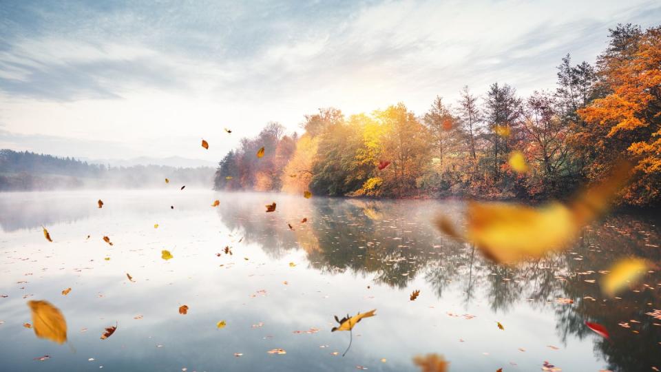 best fall pictures