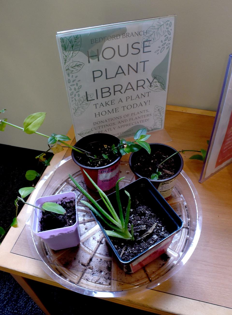 Plants ready to be checked-out are shown at the Bedford Branch Library.