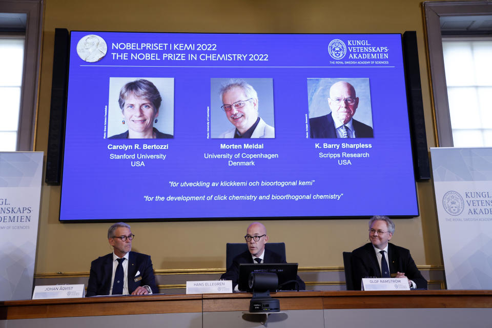 El secretario general de la Academia Sueca de Ciencias, Hans Ellegren, en el centro, Jonas Aqvist, presidente del Comité del Nobel para Química, a la izquierda, y Olof Ramstrom, miembro del Comité del Nobel para Química, anuncian los ganadores del galardón de 2022 durante una conferencia de prensa en la Academia Sueca de Ciencias en Estocolmo, Suecia, el miércoles 5 de octubre de 2022. Carolyn R. Bertozzi, Morten Meldal y K. Barry Sharpless fueron reconocidos por su labor en química clic y reacciones bioortogonales, que sirven para producir medicamentos contra el cáncer, analizar ADN y crear materiales a medida para usos concretos. (Christine Olsson /TT News Agency via AP)