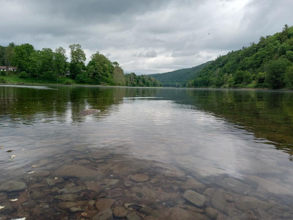The rocky bottom of the Delaware River was visible near the retracted shoreline June 3, as seen from the public boat access at Lackawaxen, PA during a time of low river conditions. This view looks north on the Upper Delaware Scenic & Recreational River. The PA Fish & Boat Commission owns and maintains the river access across River Road. The Zane Grey Museum, which is run by the National Park Service, is across the street. This access is also a popular spot to watch or bald eagles.