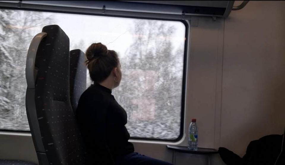 mikhaila snowy train