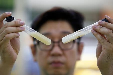 Kim Young-wook, CEO of the private-sector Korean Edible Insect Laboratory (KEIL), looks at water-soluble edible insect powder (L) and non water-soluble one that are both dissolved in water, in Seoul, South Korea, August 8, 2016. REUTERS/Kim Hong-Ji