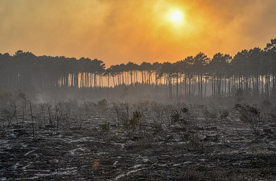 This photo provided by the fire brigade of the Gironde region (SDIS 33) shows a burnt pine forests water near Landrias, southwestern France, Tuesday, July 19, 2022. In the Gironde region of southwest France, two massive fires feeding on tinder-dry pine forests also have forced tens of thousands of people to flee homes and summer vacation spots since they broke out July 12. (SDIS 33 via AP)