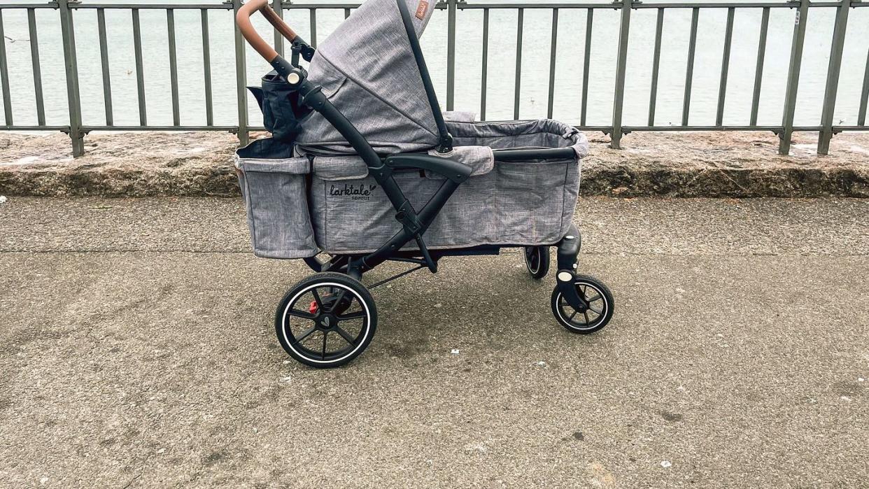 larktale wagon stroller on sidewalk in front of water