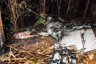 <p>The remains of the burned fuselage of a small plane that crashed, rests near trees in Guanacaste, Corozalito, Costa Rica on December 31, 2017. (Photo: Ezequiel Becerra/AFP/Getty Images) </p>