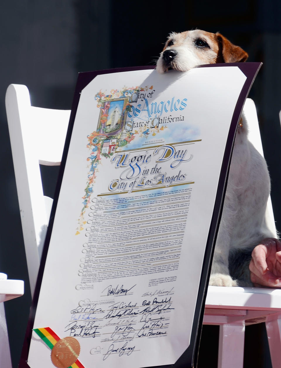 Uggie Immortalized With Hand And Footprint Ceremony