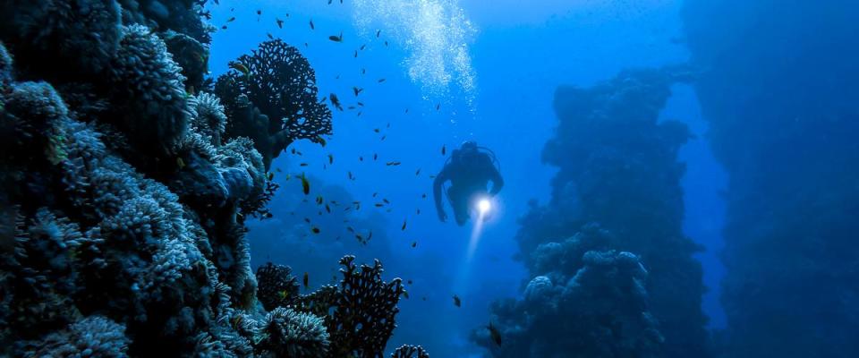 Scuba diver deep in ocean with caves and fish