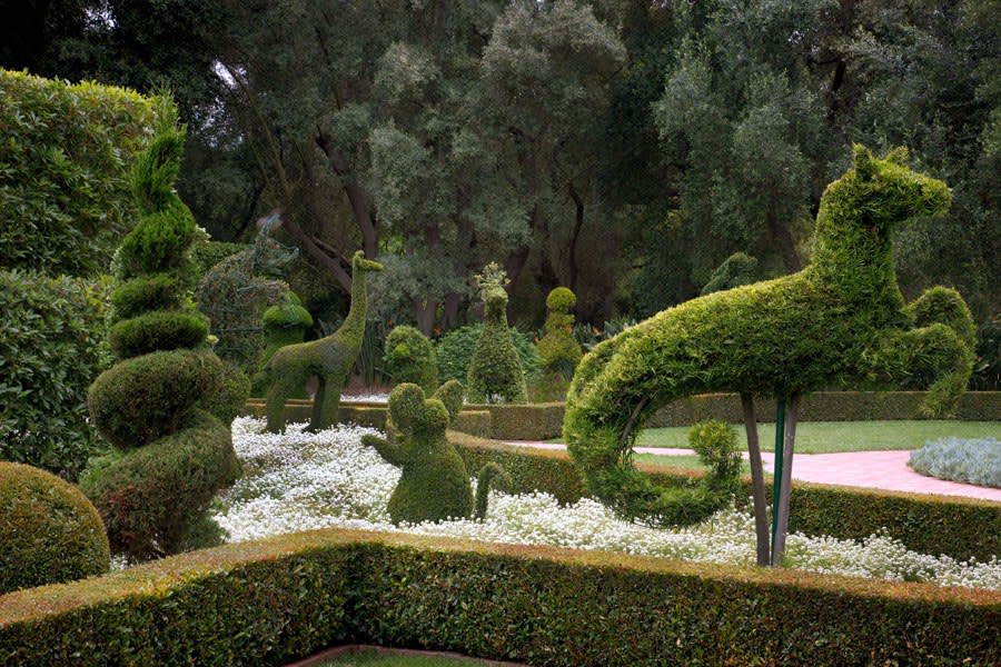 topiary gardens