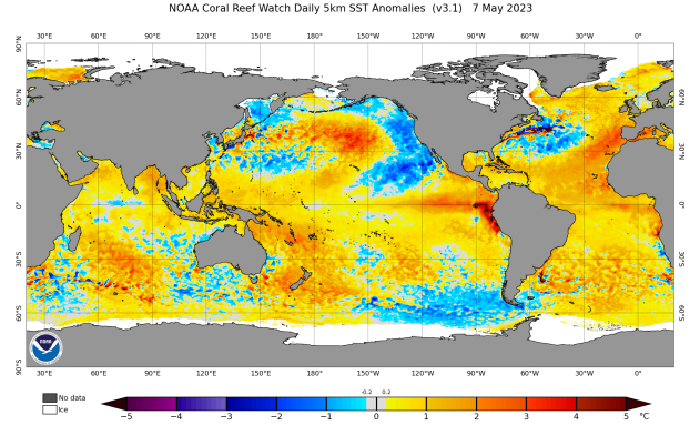 Sea surface temperature anomalies around the world.