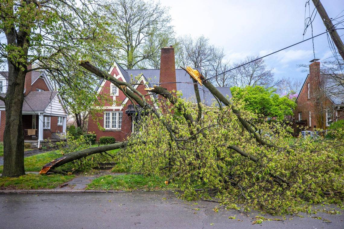 Branches are down on power lines after a storm passed through Lexington, Ky., on Tuesday, April 2, 2024.