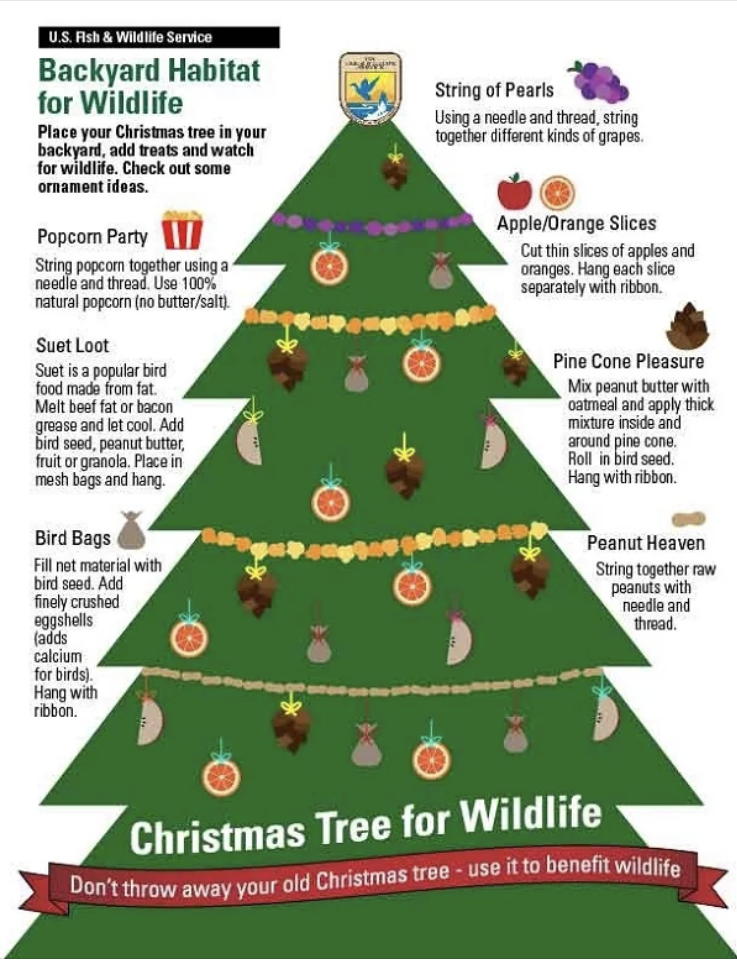 christmas tree for wildlife tips