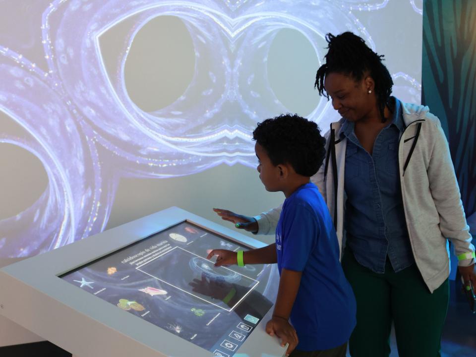 Guests can visit the Life exhibit on Thursday, Apr. 10 for hands-on learning experiences.