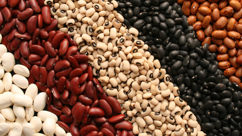 variety of dried beans