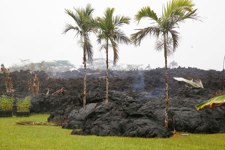 Lava cools in a resident's yard in the Leilani Estates subdivision during ongoing eruptions of the Kilauea Volcano, Hawaii, U.S., May 8, 2018. REUTERS/Terray Sylvester