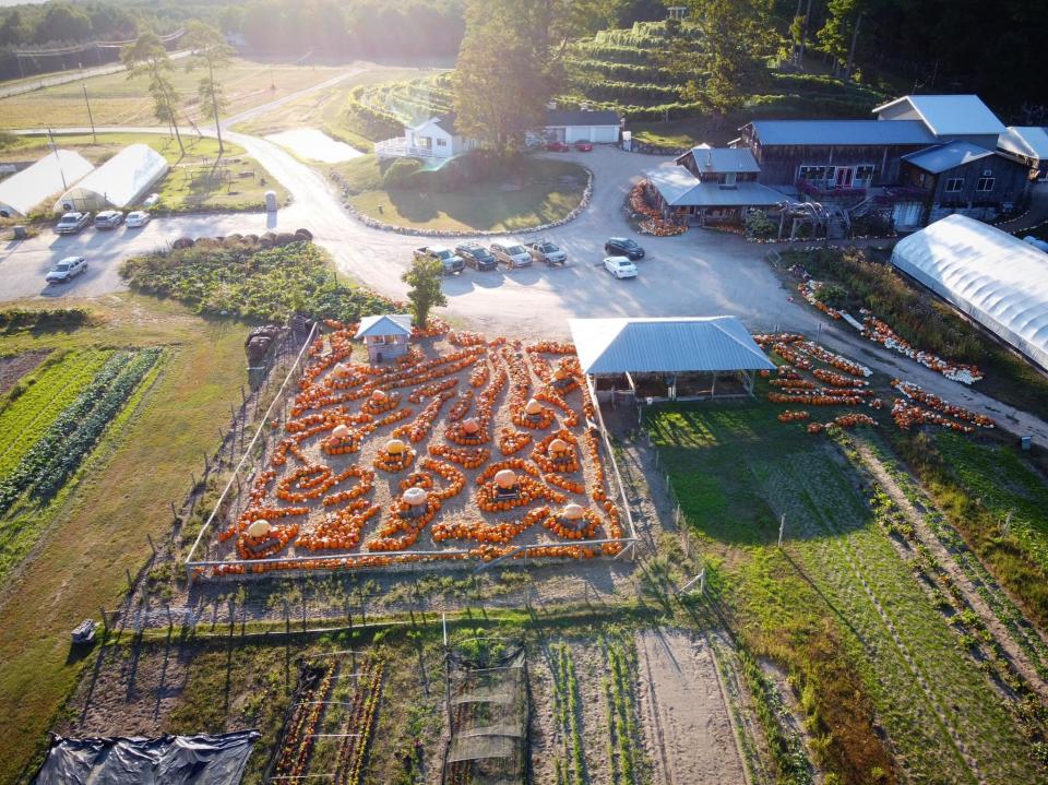 An aerial view of Pond Hill Farm in Harbor Springs.