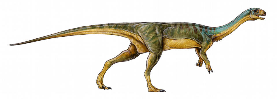 An artist's representation of the enigmatic, herbivorous species found in Chile. <cite>Gabriel Lío</cite>