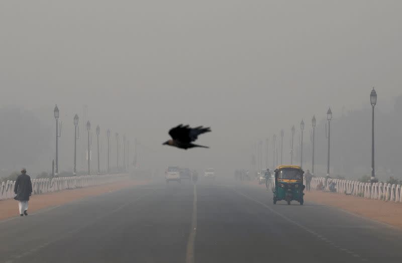 FILE PHOTO: A bird flies amidst smog near India's Presidential Palace in New Delhi