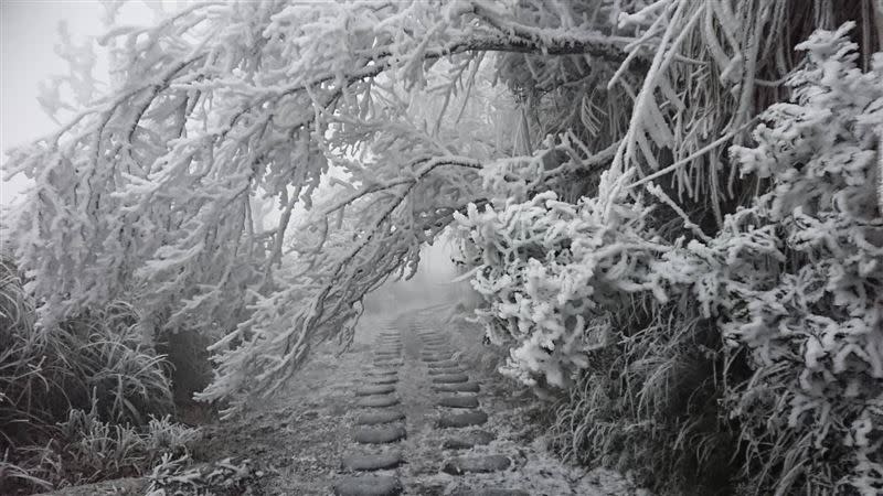 宜蘭太平山日前降雪引發一波追雪潮。（圖／資料照片／遊客提供）