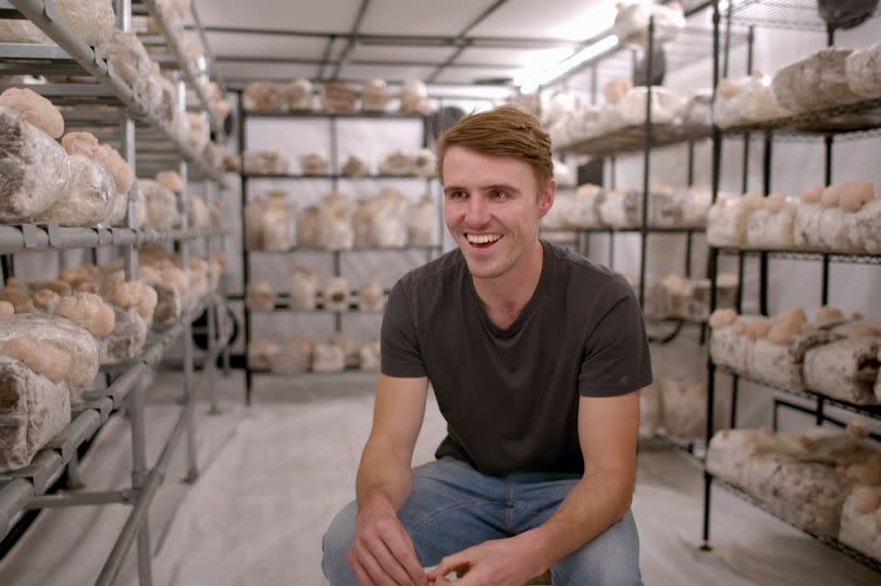 Mushroom grower Gareth Griffith-Swain surrounded by his growing mushrooms