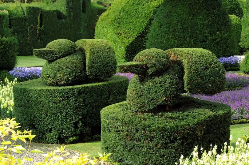 The topiary at Levens Hall