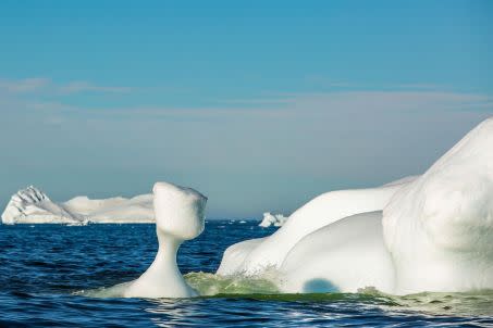 Sur la côte ouest du Groenland, à 250 km au nord du cercle polaire, dans la baie de Disko, de nombreux icebergs dérivent dans le fjord et fondent progressivement dans l\'océan. Ces icebergs proviennent du glacier Jakobshavn (Sermeq Kujalleq en groenlandais) inscrit au patrimoine mondial de l\'humanité depuis 2004. Crédit : KONRAD K./SIPA